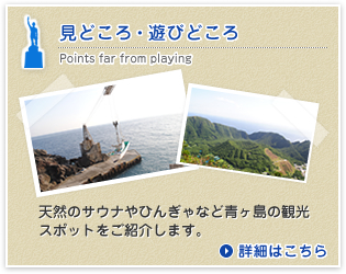 見どころ・遊びどころ
天然のサウナやひんじゃなど青ヶ島の観光スポットをご紹介します。