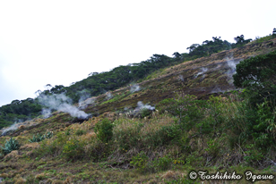 写真は丸山の山肌にある噴気孔群。