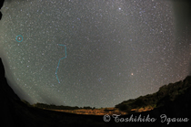 池之沢の星空04